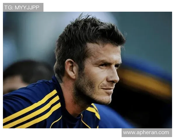 追逐梦想的绿茵传奇：那些关于足球明星的感人故事与奋斗历程